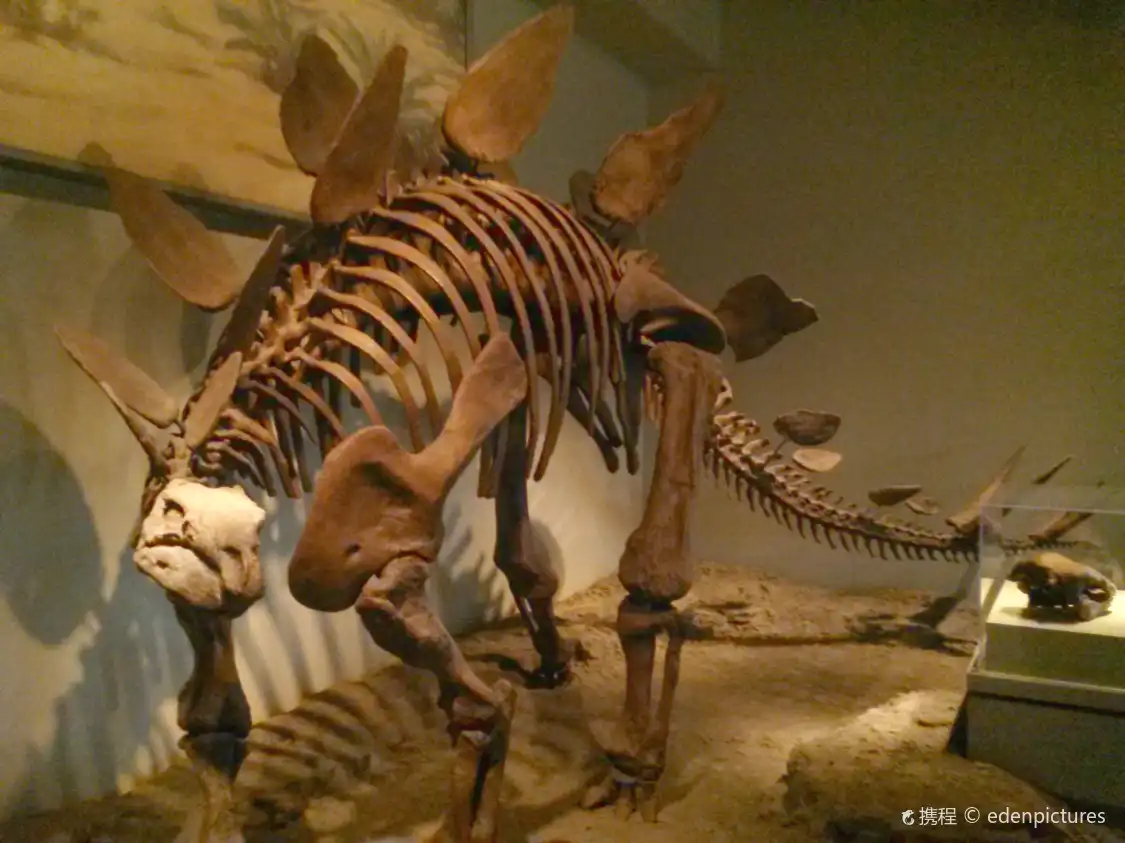 Hotels near Everything Prehistoric