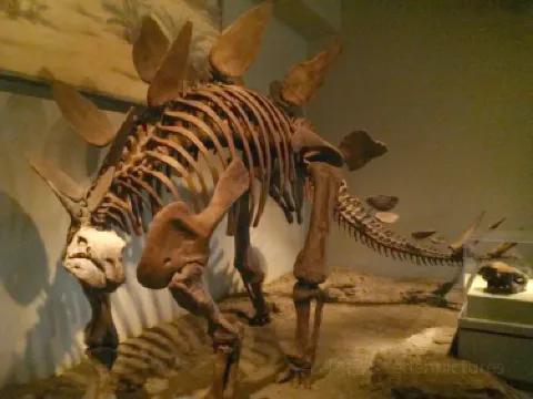 Everything Prehistoric