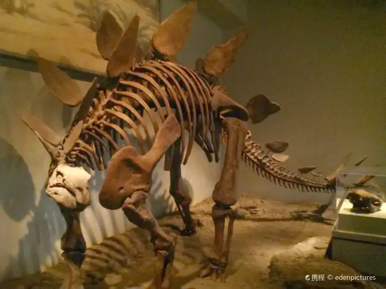 Hotels in der Nähe von Everything Prehistoric