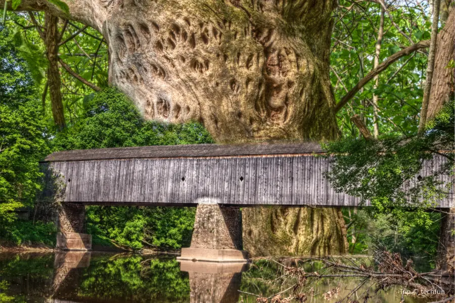 Covered Bridge County Park