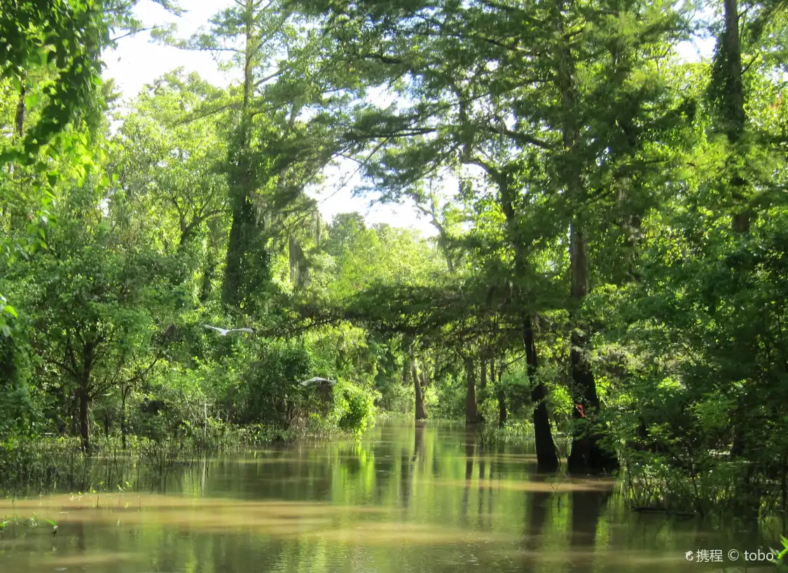 Hotel in zona Atchafalaya National Heritage