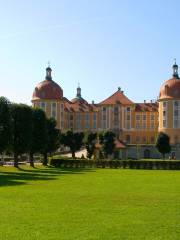 Château de Moritzburg