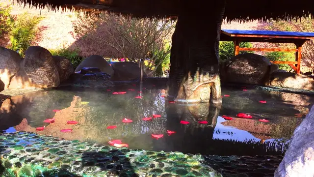 Mile Hot Springs