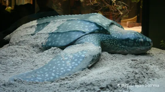 サンディー・ポイント国立野生動物保護区