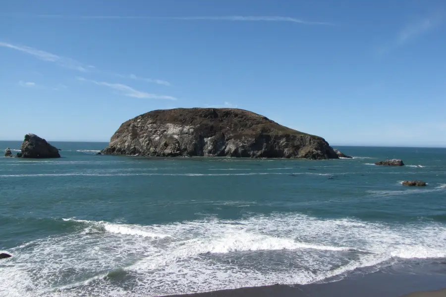 Harris Beach State Park