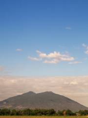 Mount Arayat