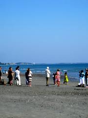 Nantasket Beach