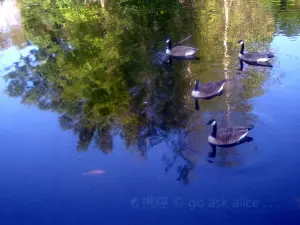 WaterWorks Park