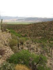 Sage Mountain National Park