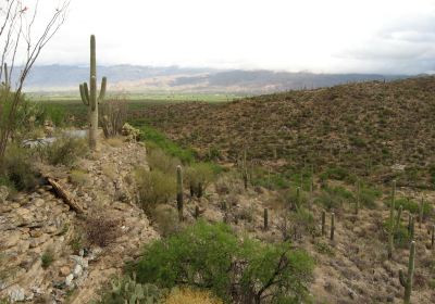 Sage Mountain National Park