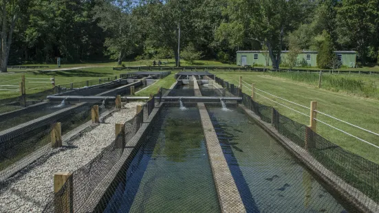 Sandwich Fish Hatchery