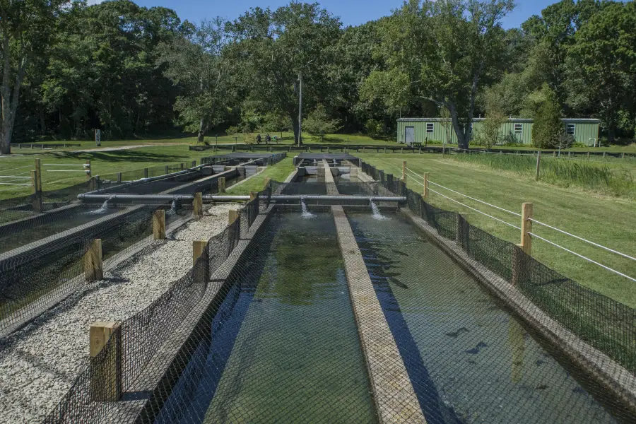 Sandwich Fish Hatchery