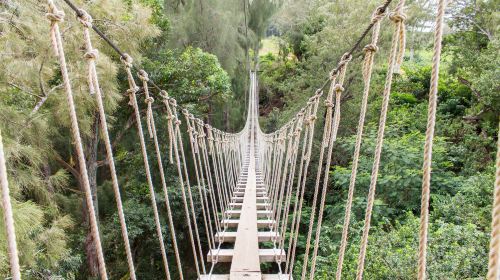 Kohala Zipline