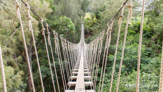 Kohala Zipline