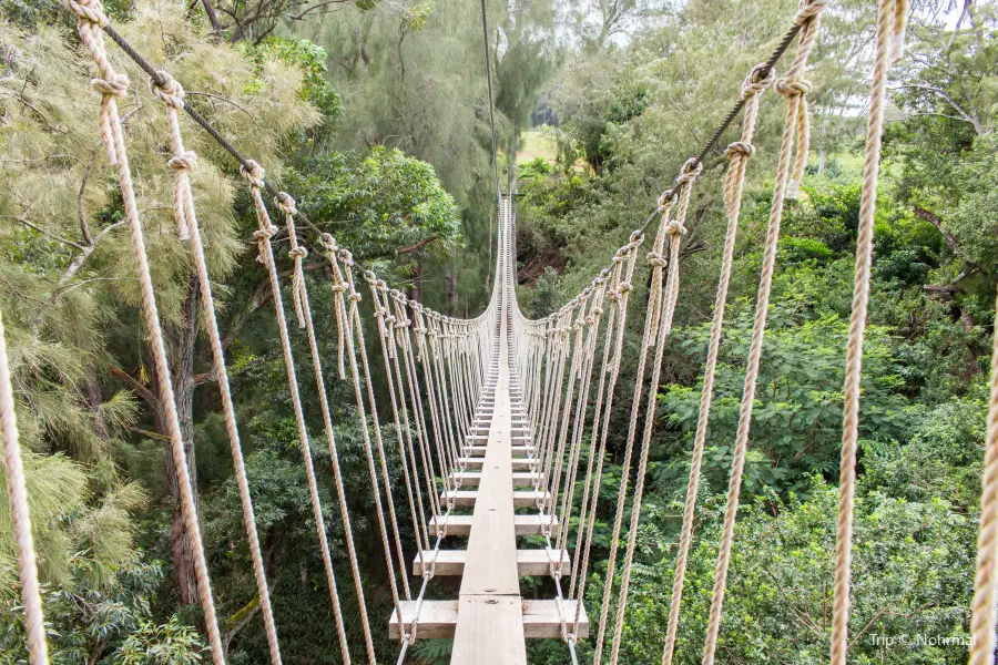 Kohala Zipline