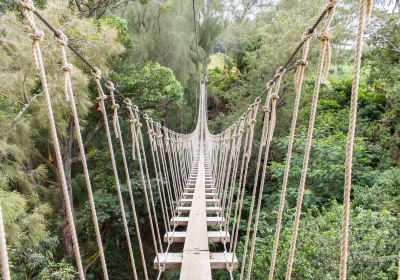 Kohala Zipline