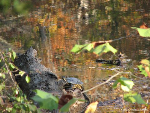 Turtle River State Park