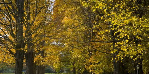 Shakespeare & Company