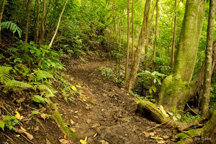 Ehukai Pillbox Hike