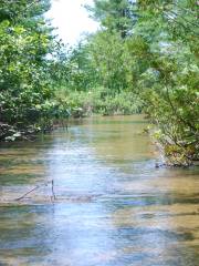 Grass River Natural Area