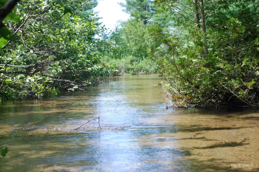 Grass River Natural Area