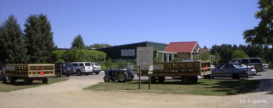 Fenn Valley Vineyards