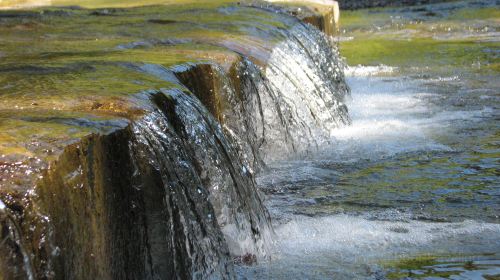 Finger Lakes State Park