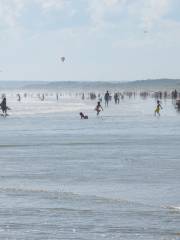 Horseneck Beach State Reservation