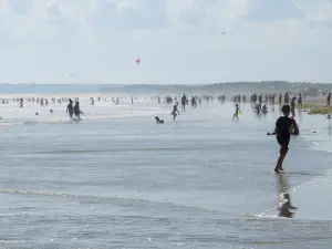 Horseneck Beach State Reservation