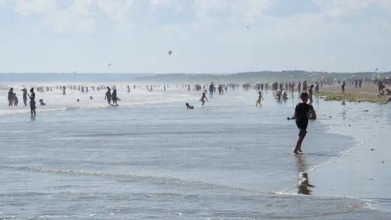 Horseneck Beach State Reservation