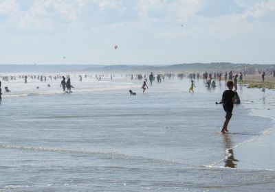 Horseneck Beach State Reservation