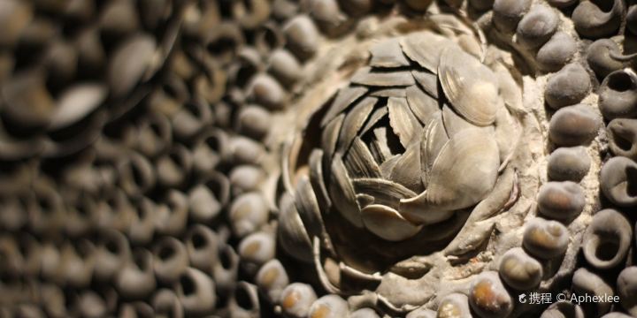 Shell Grotto