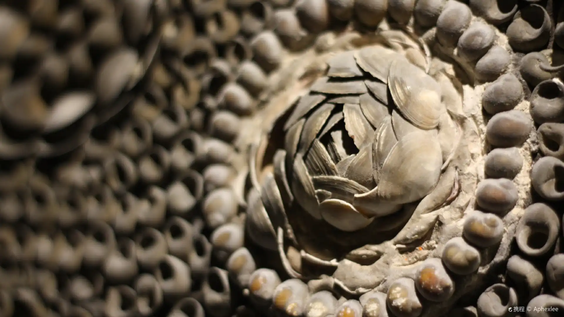 Hotels near Shell Grotto