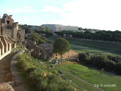 5_กีร์กุสมักซิมุส