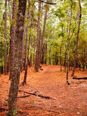 Oak Mountain State Park