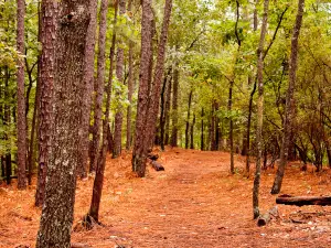 Oak Mountain State Park