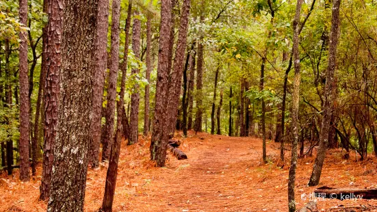 Oak Mountain State Park