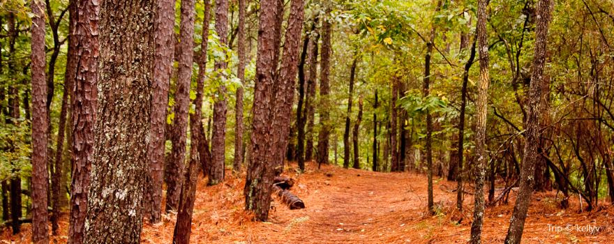 Oak Mountain State Park