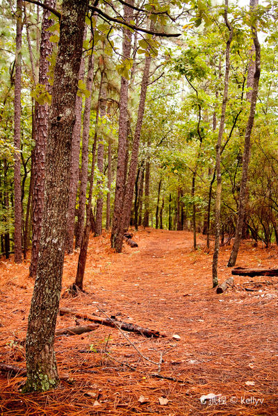 Oak Mountain State Park