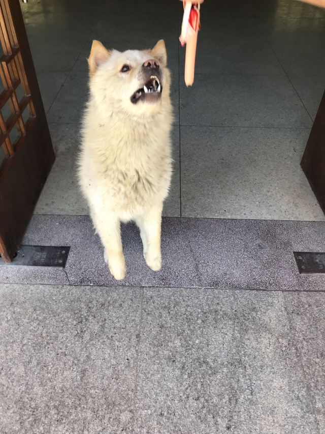 九咆界風景區
