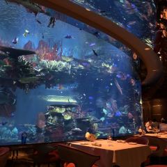 알마하라 여행 사진