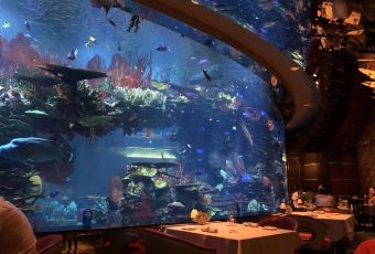 Ristorante L’Olivo at Al Mahara User Photo