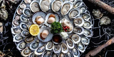 Fanny Bay Oyster Bar & Shellfish Market