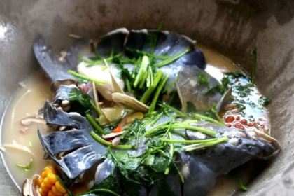 LU GU HU CHUAN XIANG YUAN