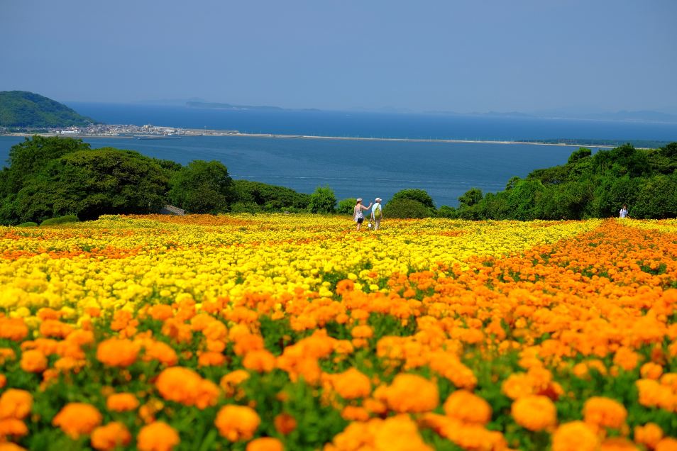 Nokonoshima Island Park