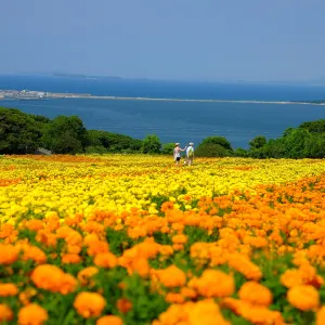 のこのしまアイランドパーク