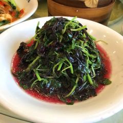 MaXiangXing CaiGuan User Photo