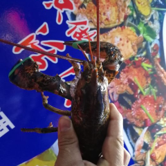 大名海鲜烧烤炒菜海鲜大咖 User Photo