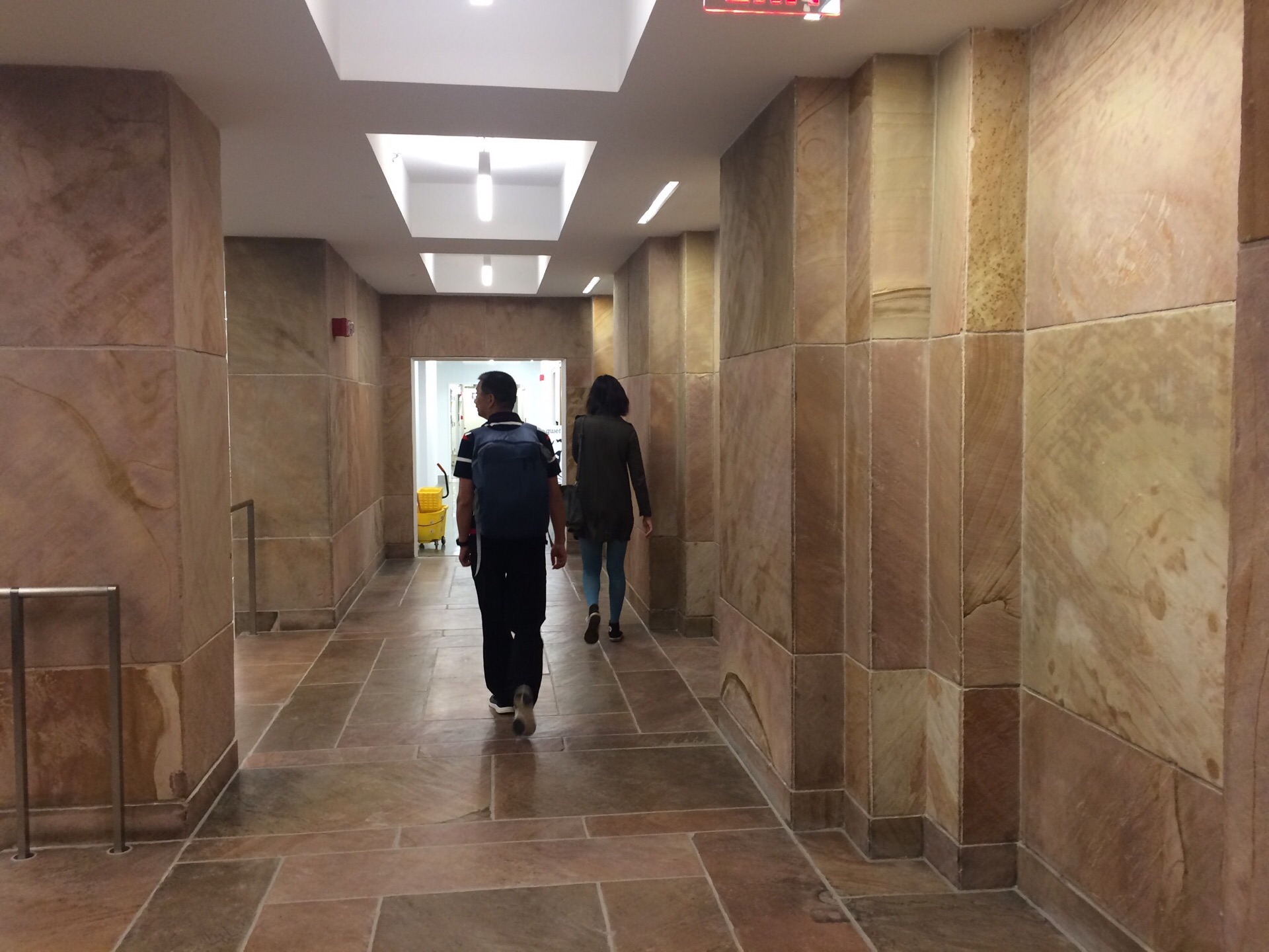 ケンブリッジ ハーバード大学自然史博物館 評判 案内 トリップドットコム