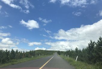 草原生态度假酒店餐厅 User Photo